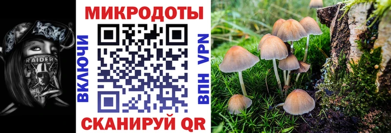 купить  сайты  Ульяновск  ОМГ ОМГ как войти  Галлюциногенные грибы Psilocybine cubensis 